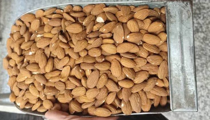 فروش بادام مراغه + قیمت عمده